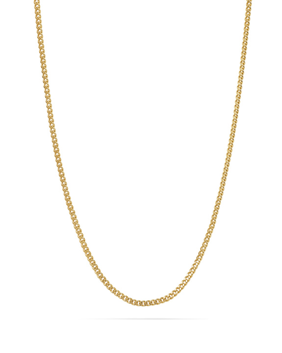 Flat Chain Gold - 47 cm in der Gruppe Shop / Halsketten bei ANI (ANI-0125-31)
