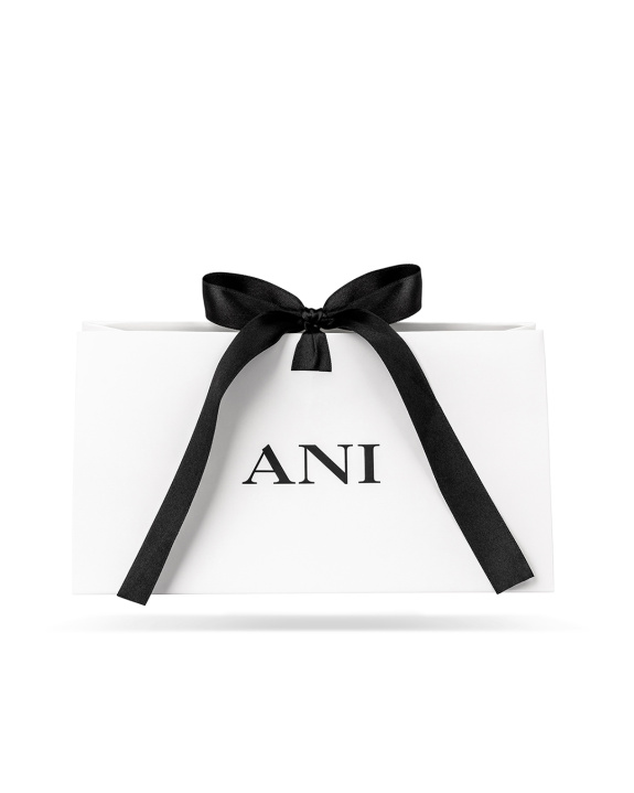 Gift wrapping in der Gruppe bei ANI (ANI-1124-63)