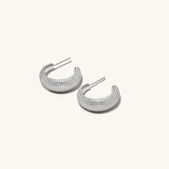 Chunky Hoops Silver in der Gruppe Shop / Ohrringe bei ANI (ANI611)