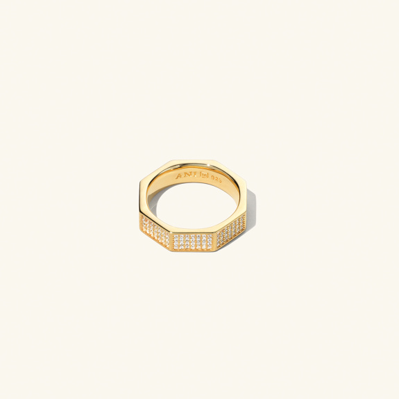 Pavé Chunky Octagon Ring Gold in der Gruppe Shop / Ringe bei ANI (ANI_VA_013)