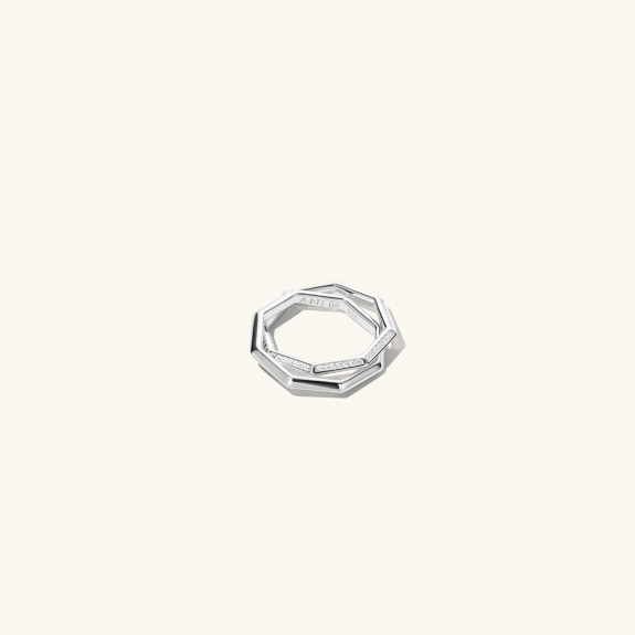 Double Octagon Ring Silver in der Gruppe Shop / Ringe bei ANI (ANI_VA_032)