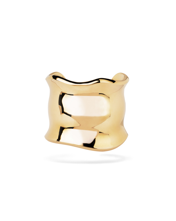 Orca Bracelet Gold in der Gruppe Shop / Armschmuck bei ANI (ANI_VA_081)