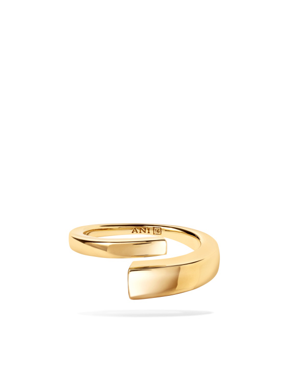 Pen Ring Gold in der Gruppe Shop / Ringe bei ANI (ANI_VA_090)