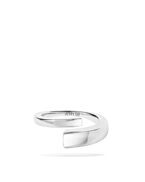 Pen Ring Silver in der Gruppe Shop / Ringe bei ANI (ANI_VA_091)